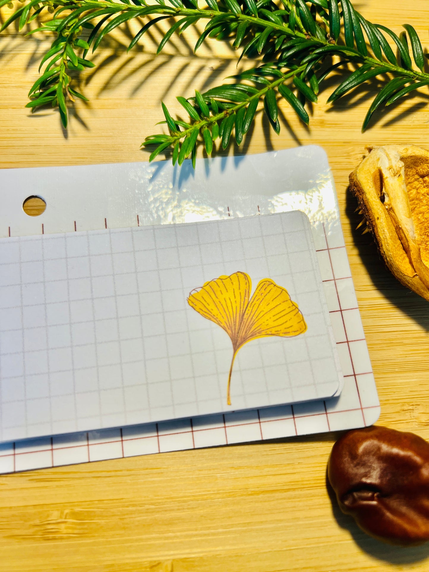 Limited Edition Autumn Notepad - Ginkgo Leaf ꕤ Little Things