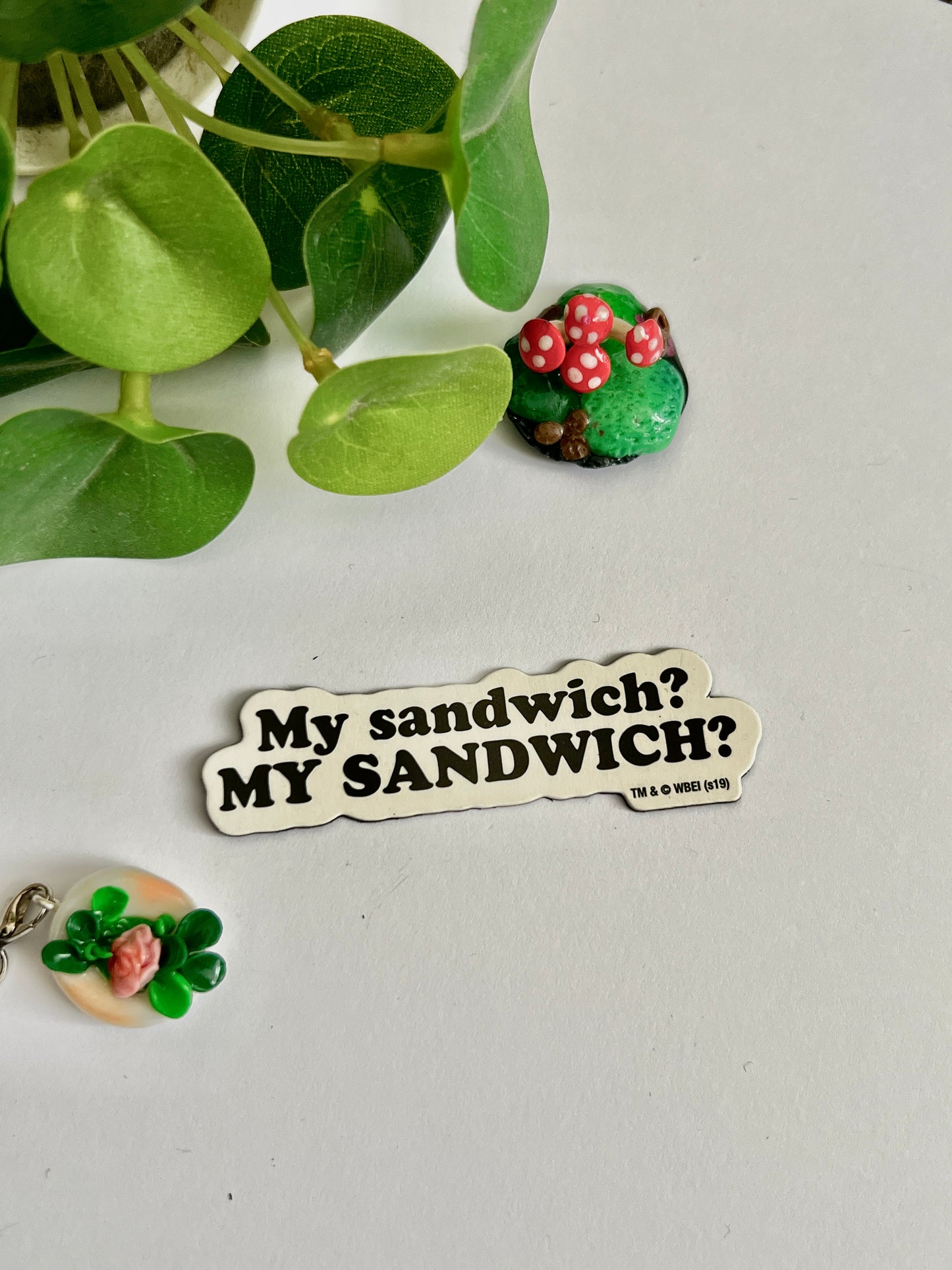 Friends Themed Magnet – Iconic TV Series Collectible