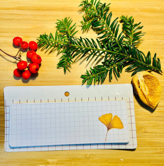 Limited Edition Autumn Notepad - Ginkgo Leaf ꕤ